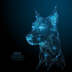 Abstract image of head of the dog in the form of a starry sky or space, consisting of points, lines, and shapes in the form of planets, stars and the universe. Vector animal. RGB Color mode