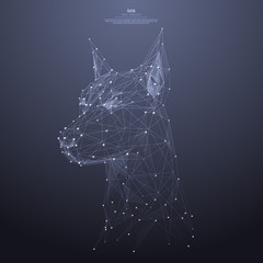 Leinwandbilder - Polygonal head of the dog low poly wireframe. Animal concept. Vector mesh spheres from flying debris. Thin line concept. Blue structure style illustration