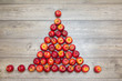 © yanlev - Christmas tree made from apples