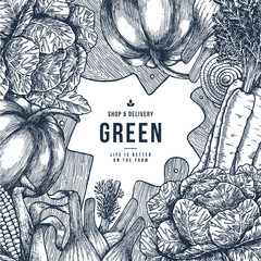 Wall Mural - healthy organic food design template. fresh vegetables engraved illustration. vector illustration
