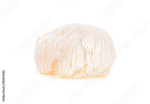 Fotomural lion mane mushroom isolated on white background.