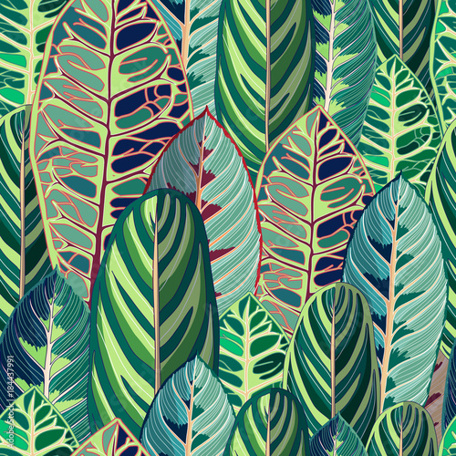 Foto Tropical Jungle Leaf Vector Seamless Illustration
