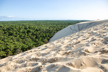 Dune of pilat