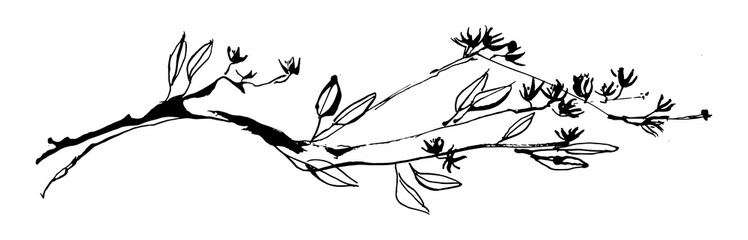 hand drawn tree branch with leaves and flowers painted by ink. grunge style vector illustration. ske