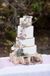 White cake with pink roses and vine 