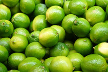 Fresh Green Lime Pile In Harvest Season