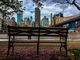 Wall Mural - Bench at Roosevelt island, Queensboro bridge and Manhattan in colorful vintage