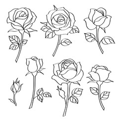 Wall Mural - Vector set of decorative vintage roses