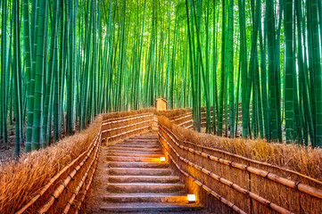  Bambusowy las w Kyoto, Japonia.