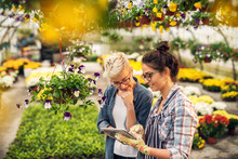 Adorable Charming Professional Modern Florist Woman Showing A List Of Flowers On A Tablet To The Curious Attractive Blonde Female Customer In A Greenhouse.