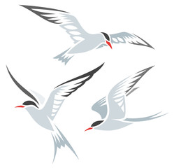 Wall Mural - Stylized Birds - Terns