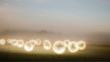 canvas print picture - Surreal, mysterious photo collage of glowing moons hover over a foggy farmer's field.