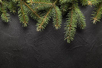 Sticker - Christmas spruce tree on black background