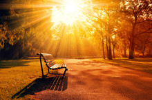 Bench In A Park During Beautiful Sunset