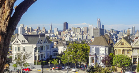 Wall Mural - San Francisco in California