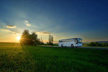 Wall Mural - White bus traveling on the road in a rural landscape at sunset