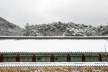 Poster - Beautiful winter landscape