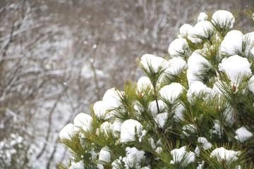 Sticker - Beautiful winter landscape