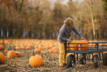 Pumpkins By A Wagon Free Stock Photo - Public Domain Pictures