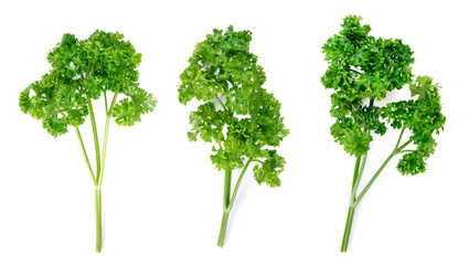 Sticker - parsley isolated on a white background