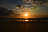 Fototapeta Sawanna - Sunset camel
