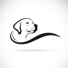 Vector Of A Dog Head Design(Labrador Retriever) On White Background, Pet. Animals.