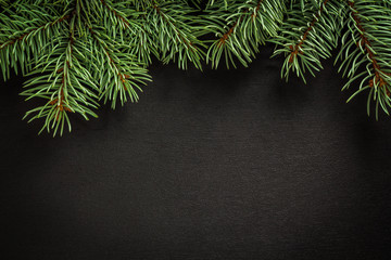 Wall Mural -  cones and spruce branches on the New Year`s black background.