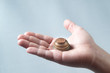 money coins stacked pyramid in the children's hands on grey background