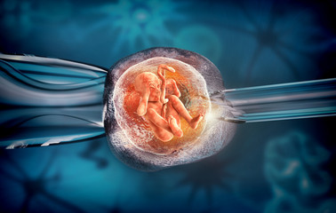 D rendering of an artificial insemination or in-vitro fertilization of an egg cell,ovum or zygote