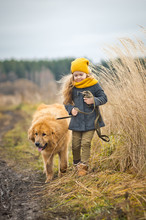 The Girl Is Leash Large Red Shaggy Dog 9771.