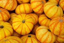 Orange And Yellow Pumpkins