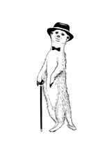 Walking Gentleman Meerkat. Vector  Illustration.