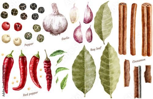 Fotomural Spice collection watercolor illustration, isolated on white
