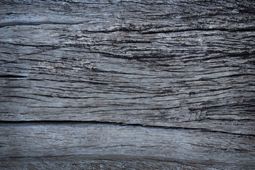 Old grunge wood panels for background texture