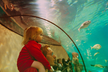 Wall Mural - father and little daughter watching fishes in large aquarium