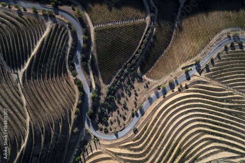 widok-z-lotu-ptaka-kretej-drogi-wzdluz-winnic-na-wzgorzach-doliny-douro-koncepcja-podrozy-w-portugalii-i-dolinie-douro