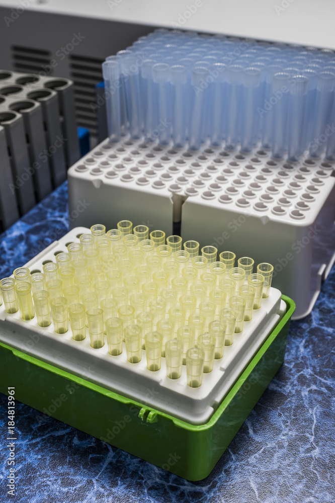 PCR container hotplate with array of test tubes containing sampled DNA ...