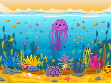 Cute Squid Under The Sea