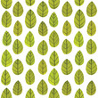 © Kelly Abeln - Illustration of leaves pattern