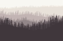 Forest Background Vector.