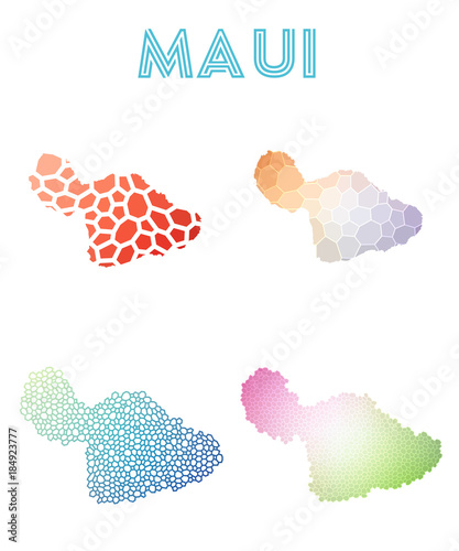Fototapeta na szkło Maui polygonal island map. Mosaic style maps collection. Bright abstract tessellation, geometric, low poly, modern design. Maui polygonal maps for infographics or presentation.