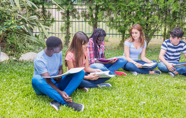 Sticker - Group of multi ethnic teenagers classroom making school exercises seated on the grass