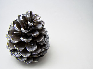 isolated silver pine cone on a white background. for Christmas and seasonal greeting card concepts