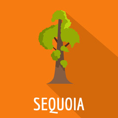 Poster - Sequoia icon. Flat illustration of sequoia vector icon for web