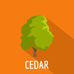 Poster - cedar tree icon. flat illustration of cedar tree vector icon for web
