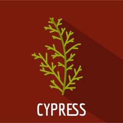 Poster - Cypress leaf icon. Flat illustration of cypress leaf vector icon for web
