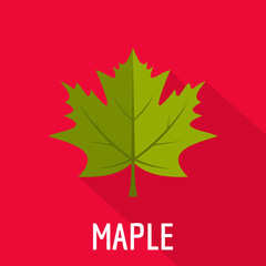 Poster - maple leaf icon. flat illustration of maple leaf vector icon for web