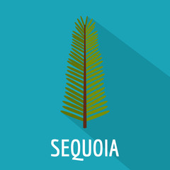 Poster - Sequoia leaf icon. Flat illustration of sequoia leaf vector icon for web