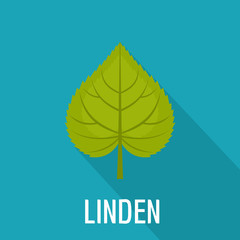 Poster - Linden leaf icon. Flat illustration of linden leaf vector icon for web