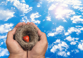 Human hands keep a natural nest with  a red heart inside and a child tries to reach this nest. Family bonds, protection, security, hope, solidarity.